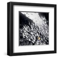 Stand Out-null-Framed Art Print