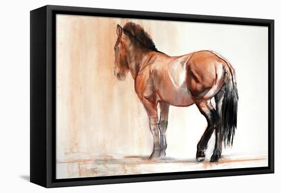 Stand (Przewalski), 2013-Mark Adlington-Framed Stretched Canvas