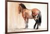 Stand (Przewalski), 2013-Mark Adlington-Framed Giclee Print