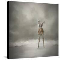 Stand Strong Little Fawn-Jai Johnson-Stretched Canvas