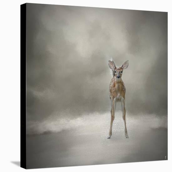 Stand Strong Little Fawn-Jai Johnson-Stretched Canvas