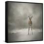 Stand Strong Little Fawn-Jai Johnson-Framed Stretched Canvas