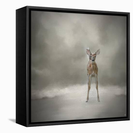 Stand Strong Little Fawn-Jai Johnson-Framed Stretched Canvas