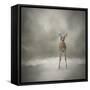 Stand Strong Little Fawn-Jai Johnson-Framed Stretched Canvas