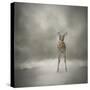Stand Strong Little Fawn-Jai Johnson-Stretched Canvas