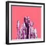 STAND TALL Cactus on Coral-Dominique Vari-Framed Art Print