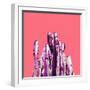 STAND TALL Cactus on Coral-Dominique Vari-Framed Art Print