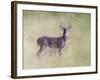 Stand Tall-Jai Johnson-Framed Giclee Print