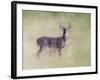 Stand Tall-Jai Johnson-Framed Giclee Print