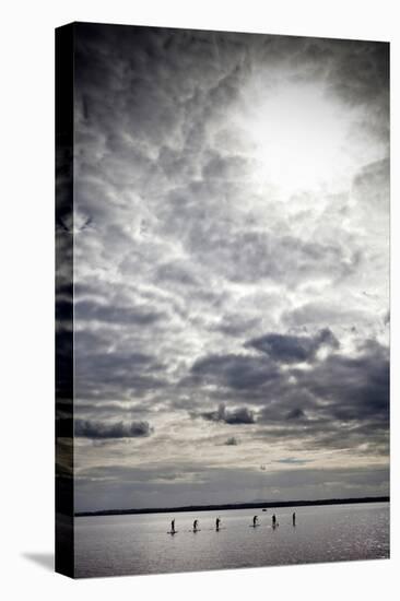 Stand-Up Paddle Boarders on Strangford Lough, Near Grey Abbey, County Down, Northern Irekand-null-Stretched Canvas