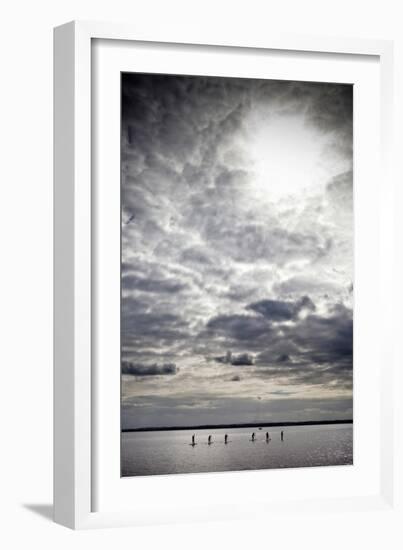 Stand-Up Paddle Boarders on Strangford Lough, Near Grey Abbey, County Down, Northern Irekand-null-Framed Photographic Print