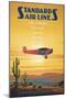 Standard Airlines, El Paso, Texas-Kerne Erickson-Mounted Art Print