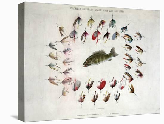 Standard American Black Bass and Lake Flies-null-Stretched Canvas