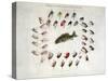 Standard American Black Bass and Lake Flies-null-Stretched Canvas