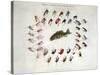 Standard American Black Bass and Lake Flies-null-Stretched Canvas