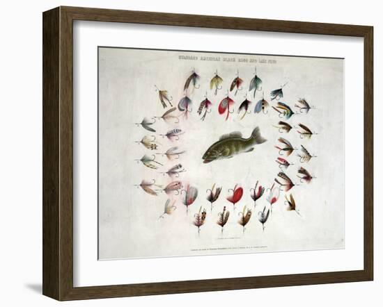 Standard American Black Bass and Lake Flies-null-Framed Giclee Print