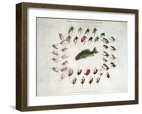 Standard American Black Bass and Lake Flies-null-Framed Giclee Print