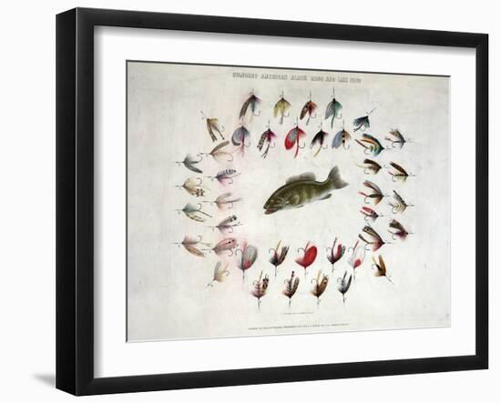 Standard American Black Bass and Lake Flies-null-Framed Giclee Print