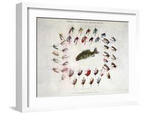 Standard American Black Bass and Lake Flies-null-Framed Giclee Print