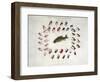 Standard American Black Bass and Lake Flies-null-Framed Giclee Print