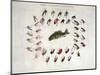 Standard American Black Bass and Lake Flies-null-Mounted Giclee Print