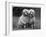 Standard Poodle-null-Framed Photographic Print