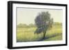 Standing Alone II-Tim OToole-Framed Art Print