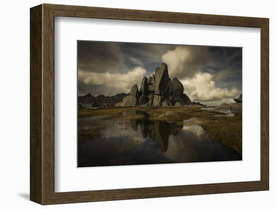 Standing Alone-Yan Zhang-Framed Photographic Print