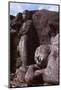 Standing and Reclining Buddha, 12th century, Gal-Vihara, Polonnaruwa, Sri Lanka. (20th century)-CM Dixon-Mounted Photographic Print