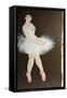 Standing Ballerina 2015-Susan Adams-Framed Stretched Canvas