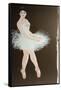 Standing Ballerina 2015-Susan Adams-Framed Stretched Canvas