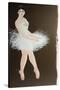 Standing Ballerina 2015-Susan Adams-Stretched Canvas