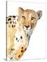 Standing Cheetah-Lanie Loreth-Stretched Canvas