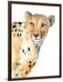 Standing Cheetah-Lanie Loreth-Framed Art Print