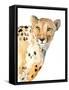 Standing Cheetah-Lanie Loreth-Framed Stretched Canvas