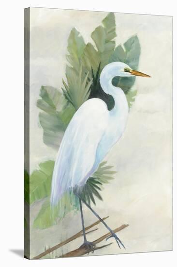 Standing Egret I Crop-Avery Tillmon-Stretched Canvas