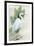 Standing Egret I Crop-Avery Tillmon-Framed Art Print