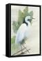 Standing Egret I Crop-Avery Tillmon-Framed Stretched Canvas