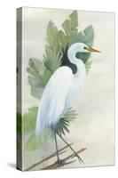 Standing Egret I Crop-Avery Tillmon-Stretched Canvas