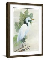 Standing Egret I Crop-Avery Tillmon-Framed Art Print