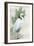 Standing Egret I Crop-Avery Tillmon-Framed Art Print