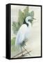 Standing Egret I Crop-Avery Tillmon-Framed Stretched Canvas