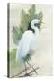 Standing Egret I Crop-Avery Tillmon-Stretched Canvas