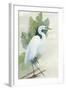 Standing Egret I Crop-Avery Tillmon-Framed Art Print