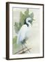 Standing Egret I Crop-Avery Tillmon-Framed Art Print