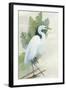 Standing Egret I Crop-Avery Tillmon-Framed Art Print