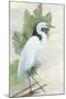 Standing Egret I Crop-Avery Tillmon-Mounted Art Print