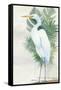 Standing Egret II Crop-Avery Tillmon-Framed Stretched Canvas