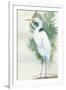 Standing Egret II Crop-Avery Tillmon-Framed Art Print