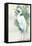 Standing Egret II Crop-Avery Tillmon-Framed Stretched Canvas